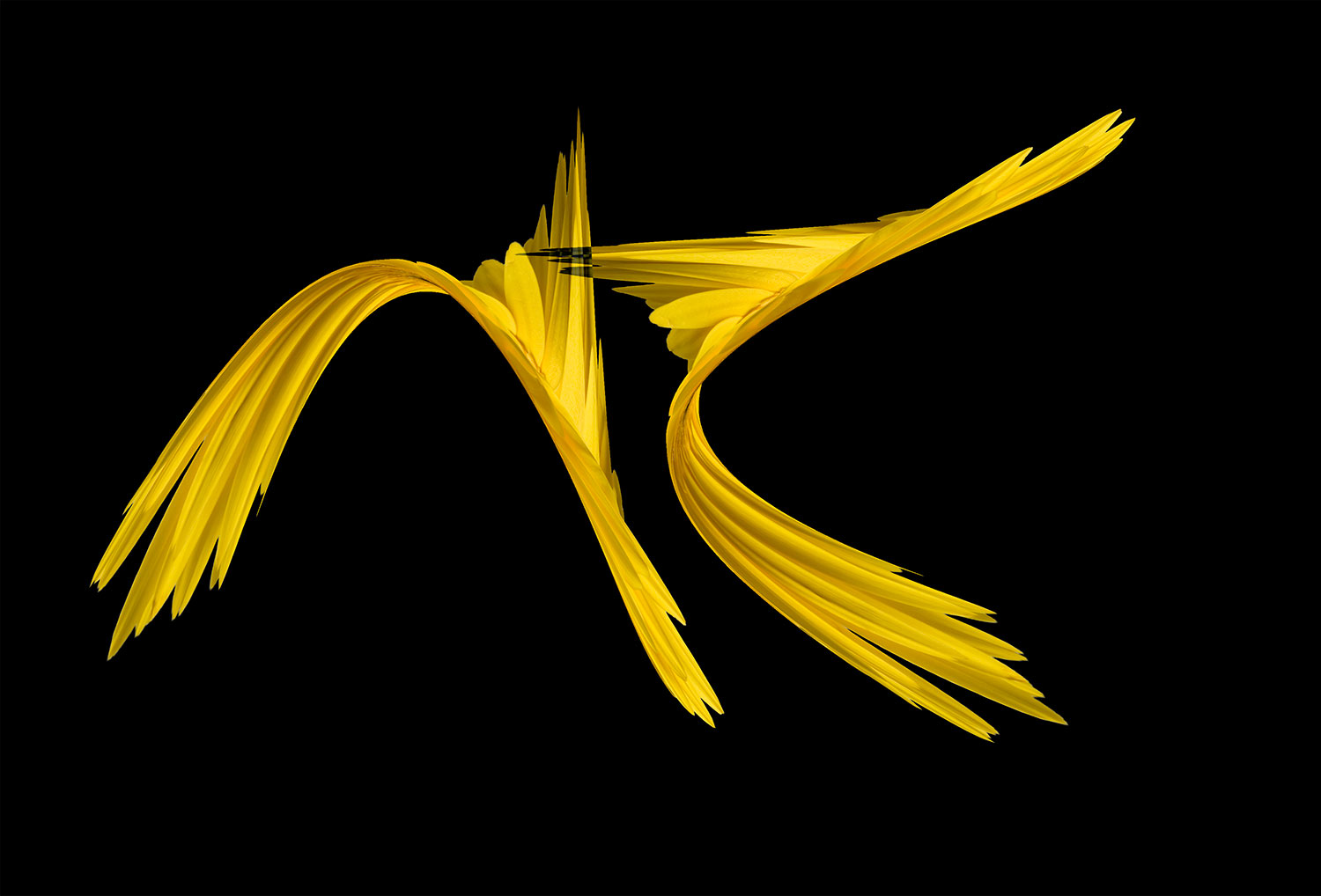 Digital Art
